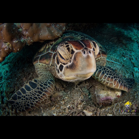 Meet your Posher, Jennifer - Picture 6 of 12